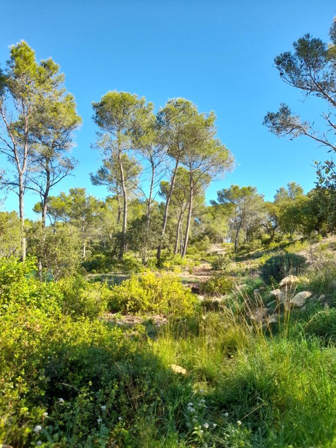Studio Du Roc Des Garrigues Langlade Экстерьер фото